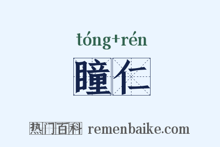 瞳仁是什么意思的图片